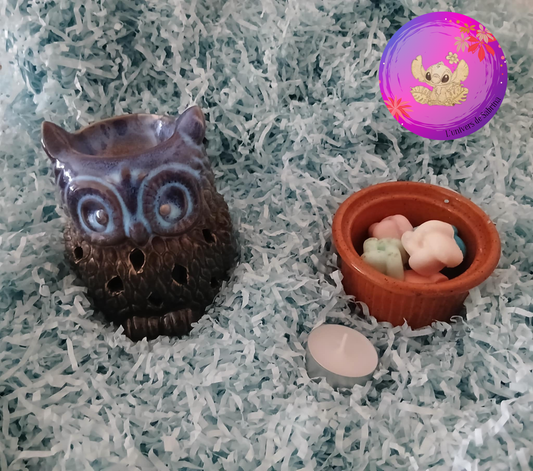 LOT BRÛLEUR CHOUETTE NOIR ET BLEU