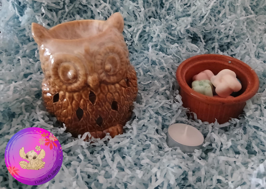 LOT BRÛLEUR CHOUETTE MARRON CREME